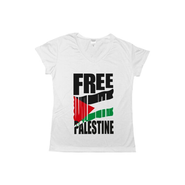 Camiseta Free Palestine – estampa com bandeira estilizada e mensagem de liberdade para o povo palestino.