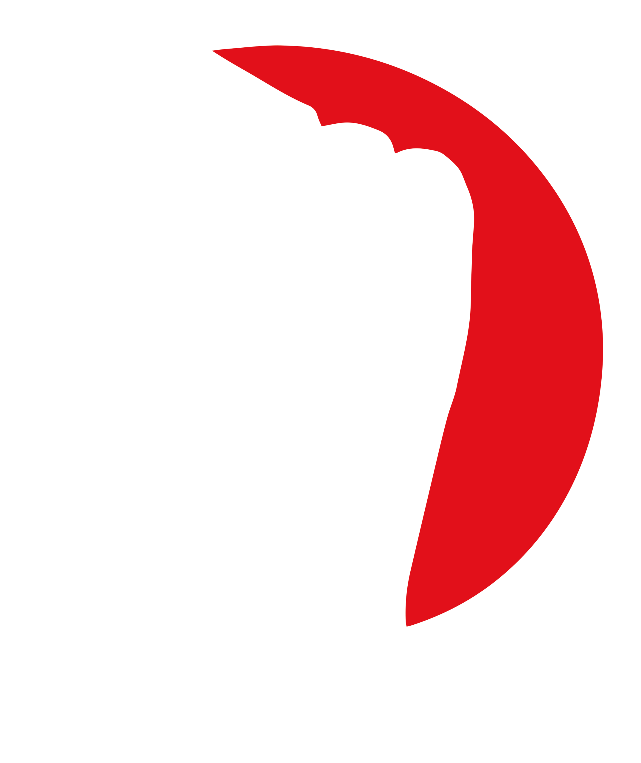 Bolcheviques